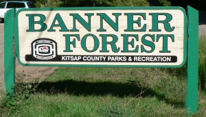 banner_forest_sign