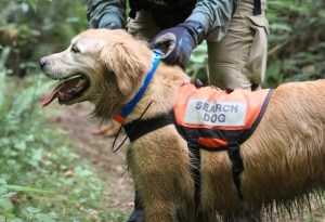 150530 Magnum with Collar