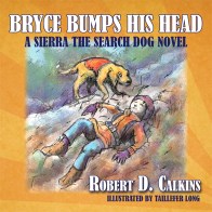 AudioCoverSierraWEBnologo